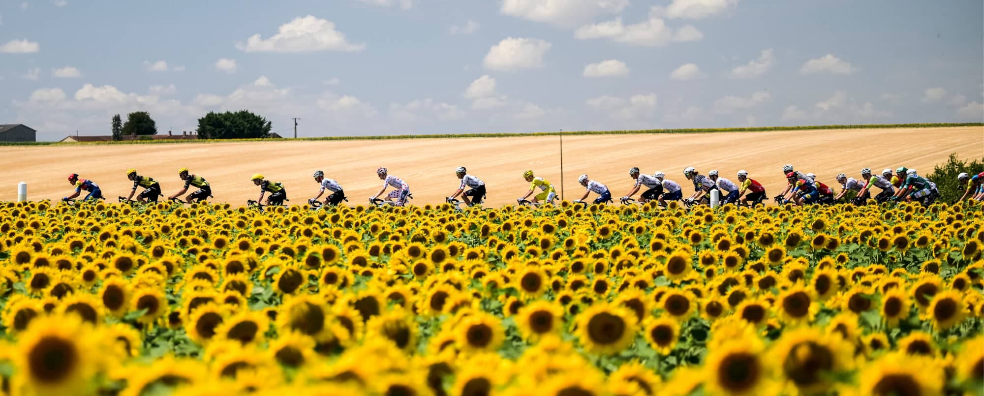 MYCOMM Sports travel agency