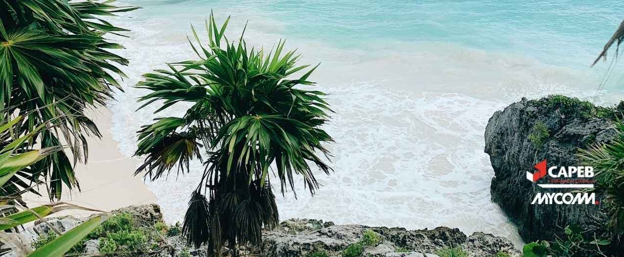 excursions capeb mexique